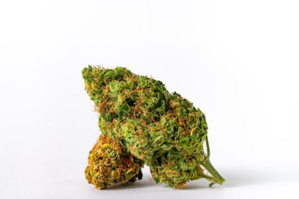 The Evergreen Lush - Image 2